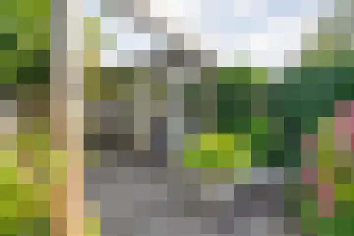Drapenierlaan 33 Zwolle thumbnail 30