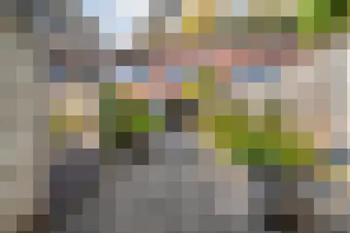 Drapenierlaan 33 Zwolle thumbnail 31