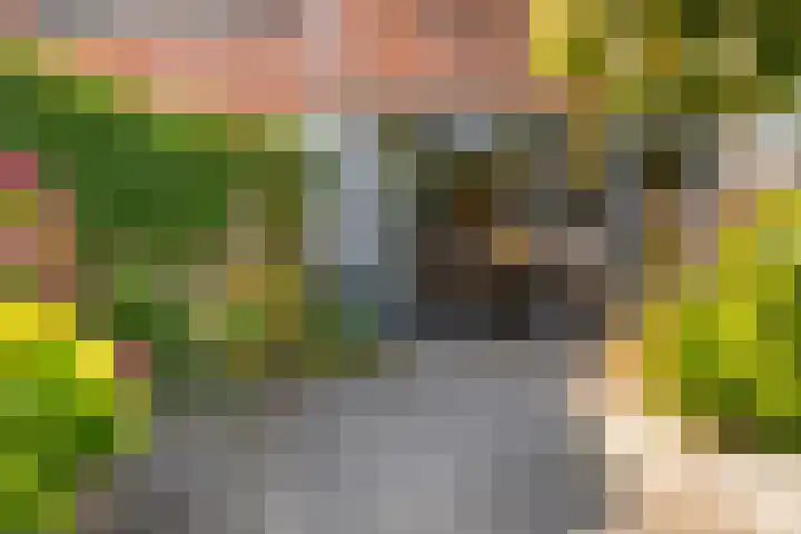 Drapenierlaan 33 Zwolle thumbnail 32