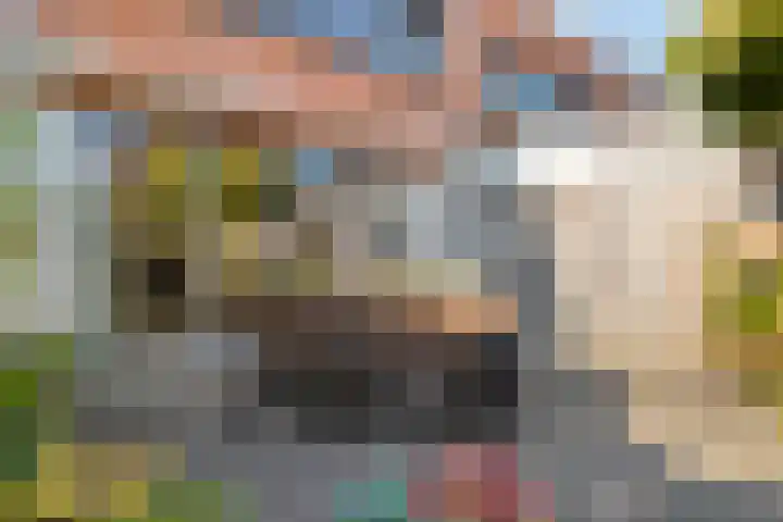 Drapenierlaan 33 Zwolle thumbnail 33