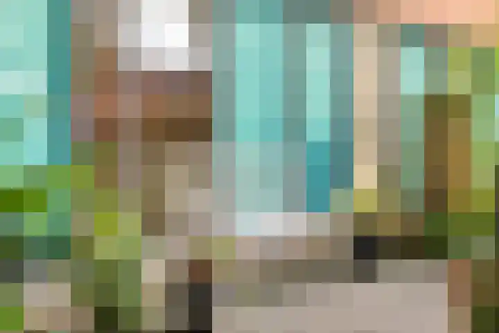 Drapenierlaan 33 Zwolle thumbnail 34