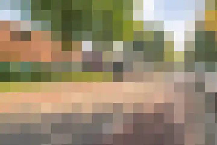 Drapenierlaan 33 Zwolle thumbnail 35