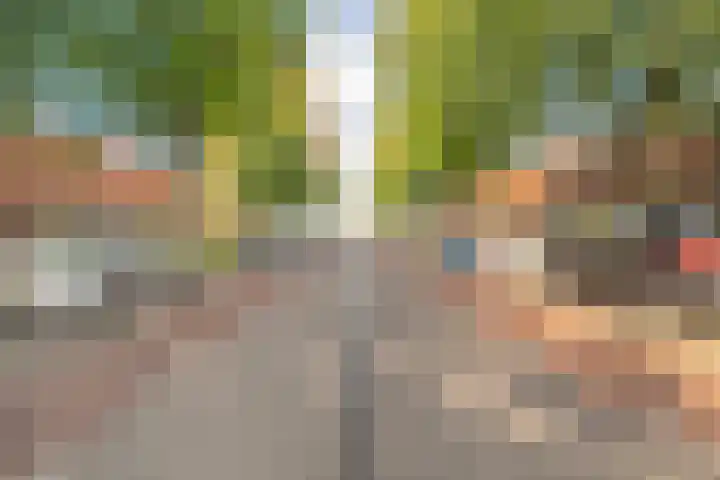 Drapenierlaan 33 Zwolle thumbnail 36