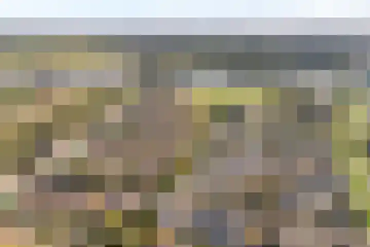Drapenierlaan 33 Zwolle thumbnail 37