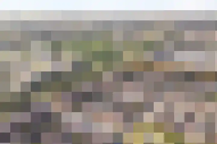 Drapenierlaan 33 Zwolle thumbnail 38