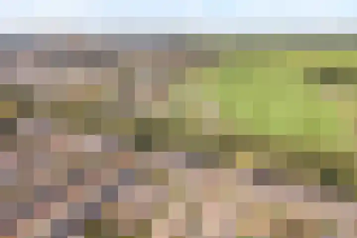 Drapenierlaan 33 Zwolle thumbnail 39
