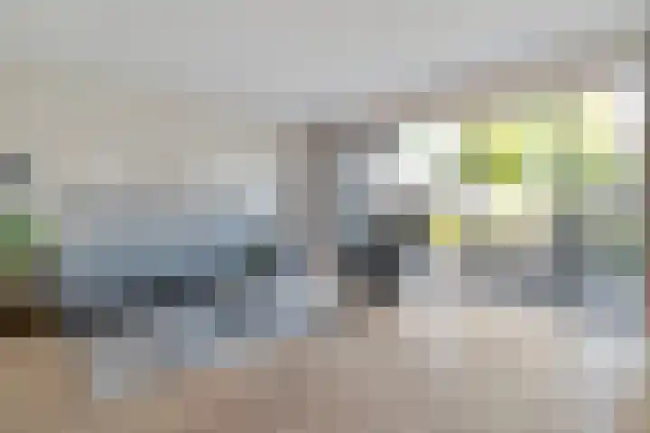 Drapenierlaan 33 Zwolle thumbnail 6
