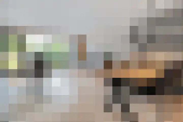 Drapenierlaan 33 Zwolle thumbnail 8