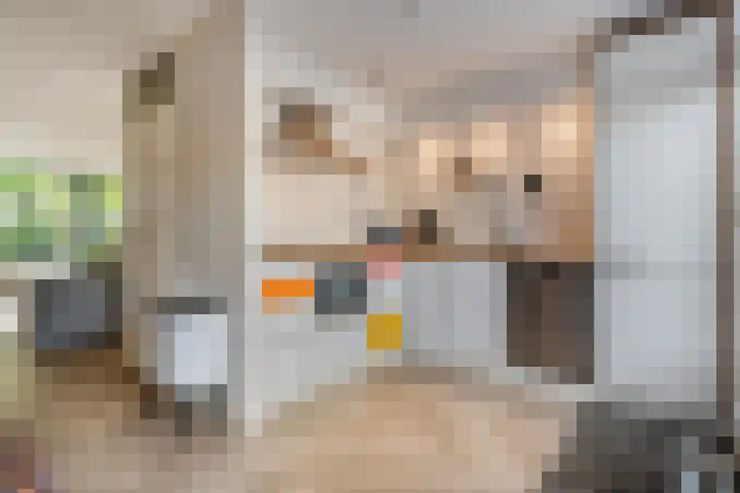 Drapenierlaan 46 Zwolle thumbnail 12