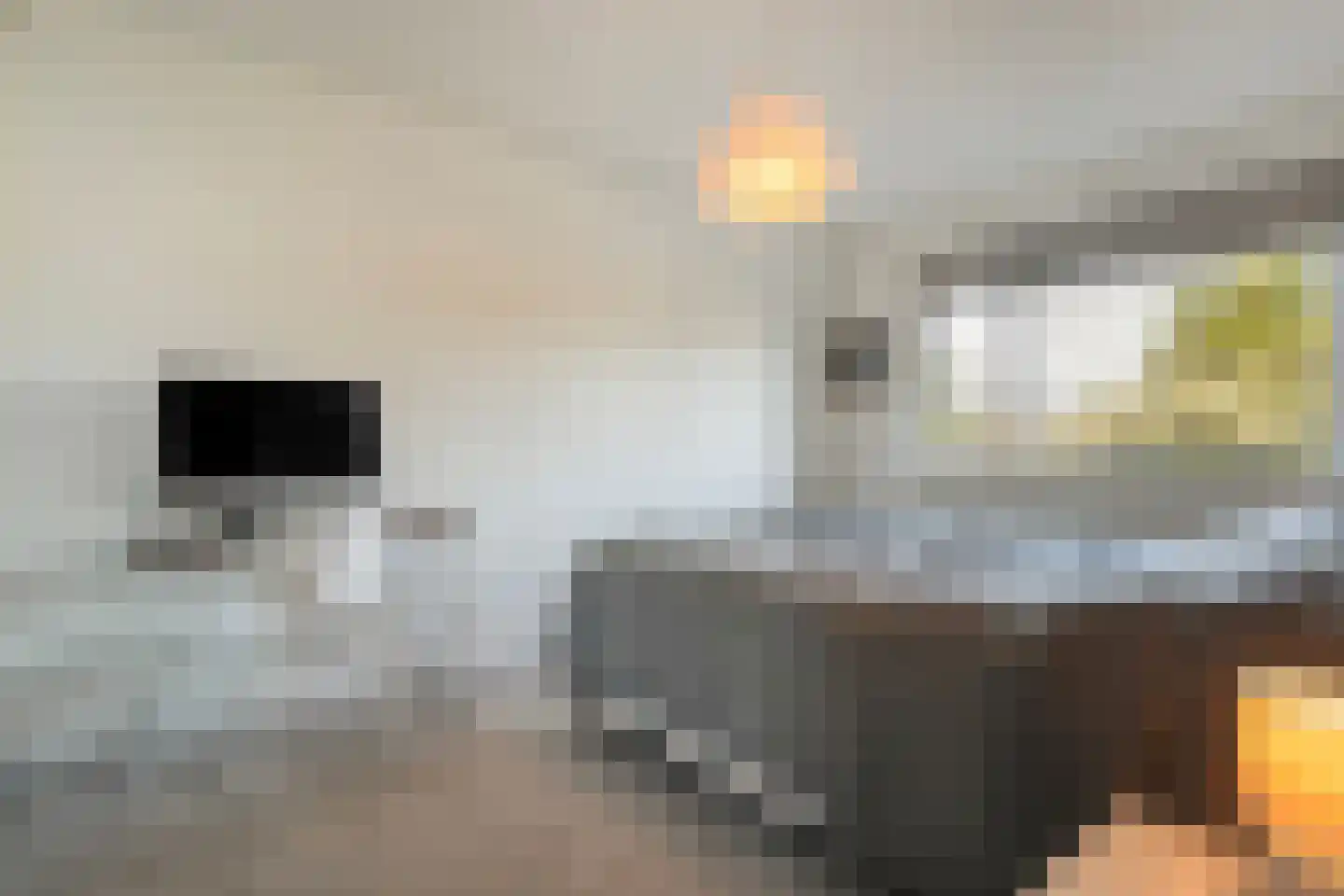 Drapenierlaan 46 Zwolle thumbnail 21