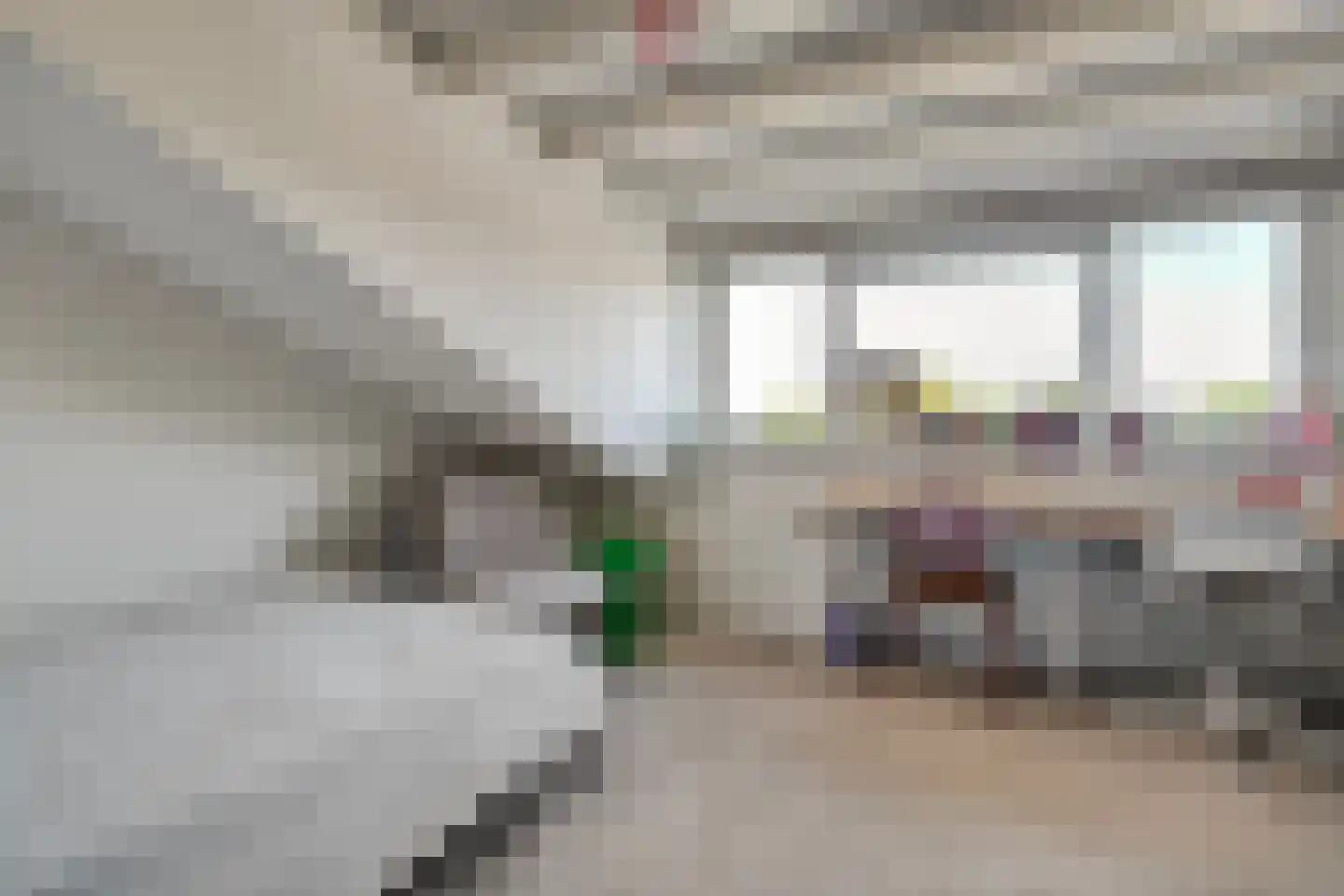 Drapenierlaan 46 Zwolle thumbnail 31