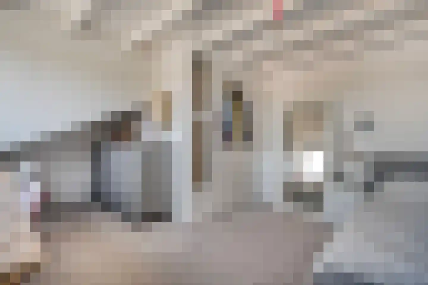 Drapenierlaan 46 Zwolle thumbnail 32