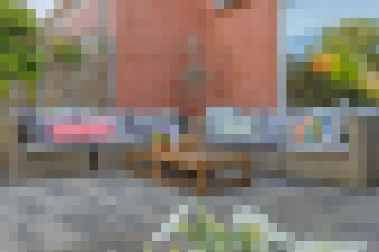 Drapenierlaan 46 Zwolle thumbnail 35