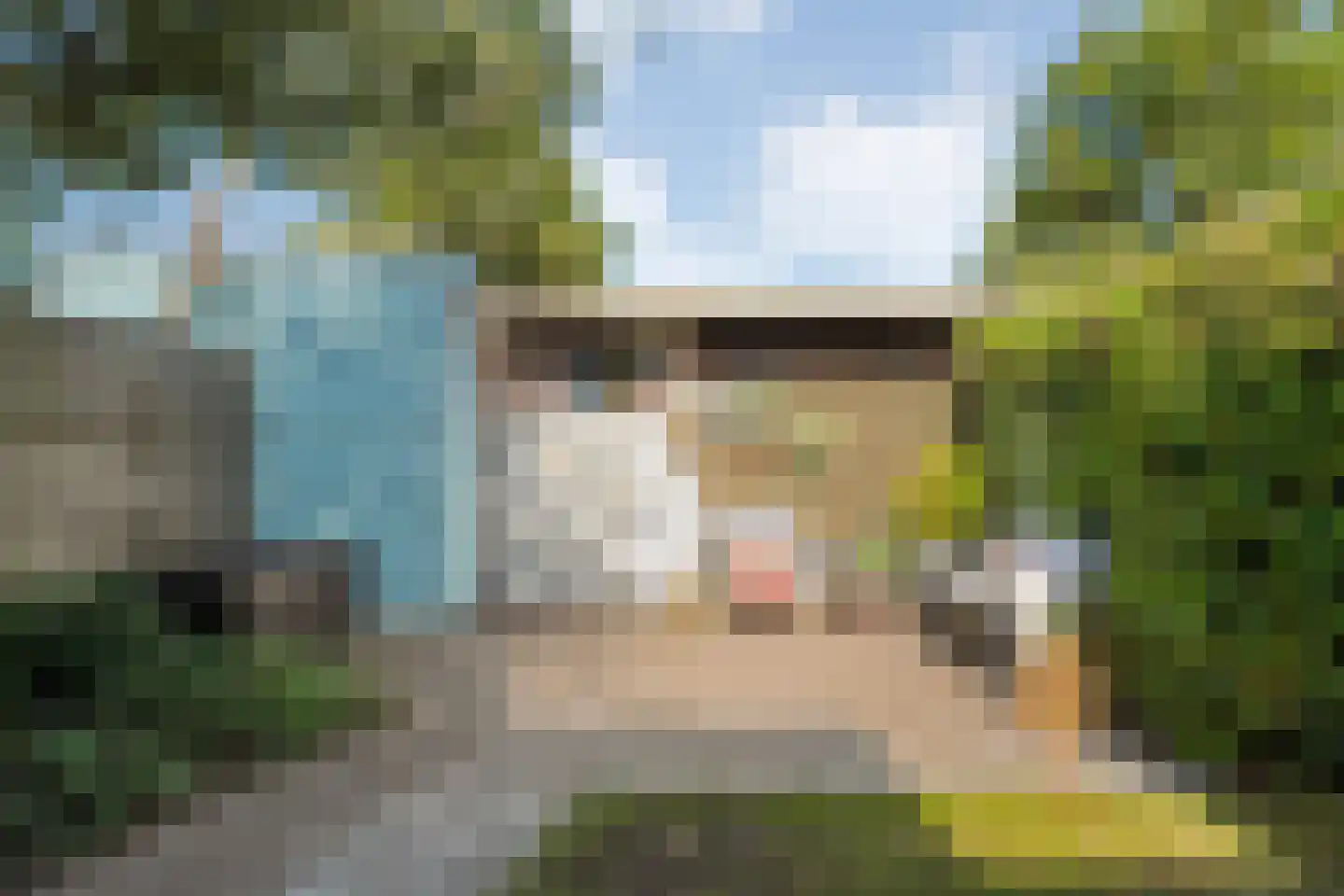 Drapenierlaan 46 Zwolle thumbnail 40