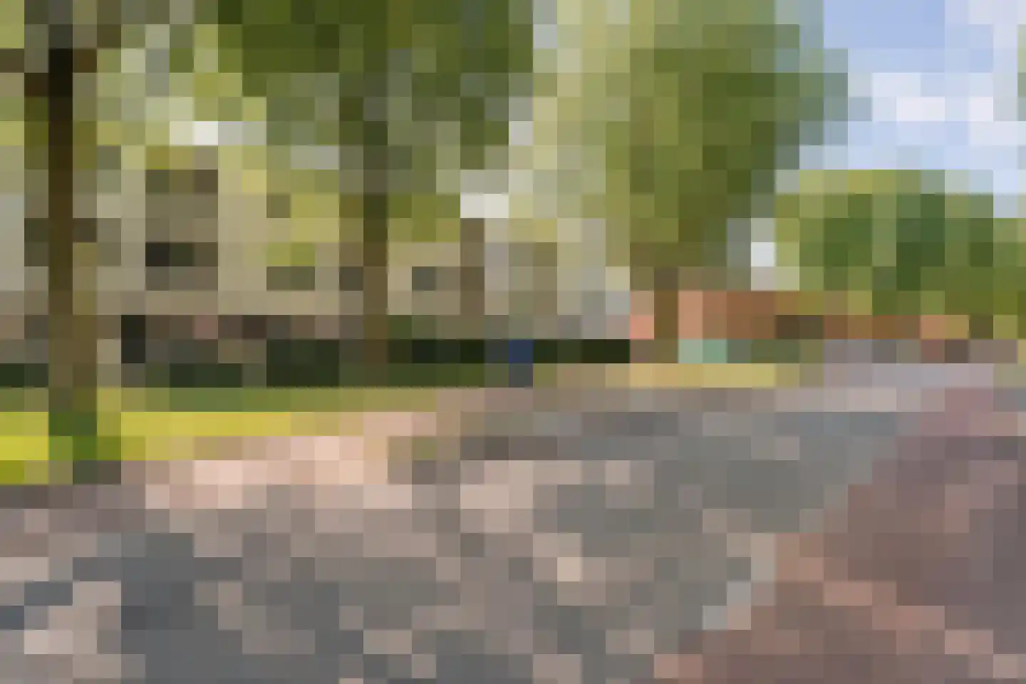 Drapenierlaan 46 Zwolle thumbnail 43