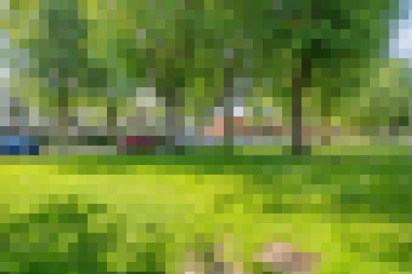 Drapenierlaan 46 Zwolle thumbnail 45