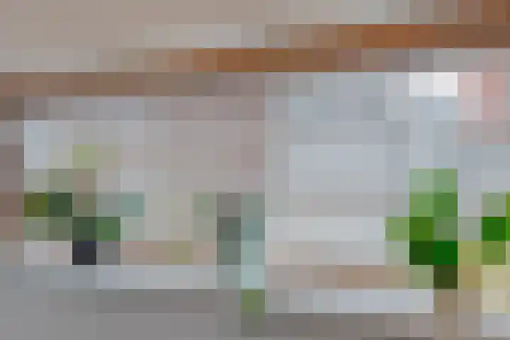 Drapenierlaan 78 Zwolle thumbnail 10