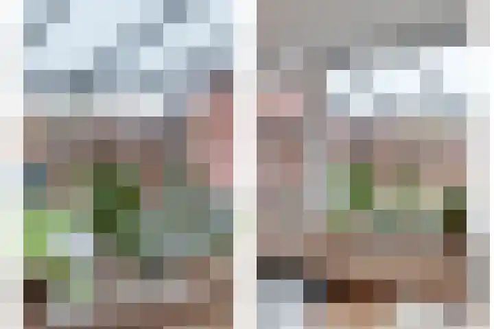 Drapenierlaan 78 Zwolle thumbnail 13