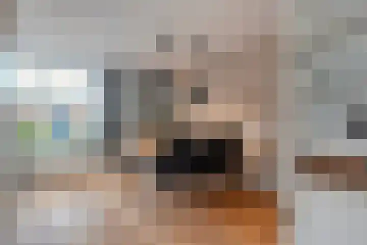 Drapenierlaan 78 Zwolle thumbnail 15