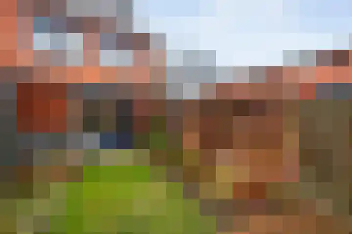 Drapenierlaan 78 Zwolle thumbnail 39
