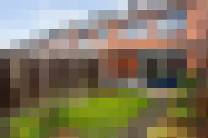 Drapenierlaan 78 Zwolle thumbnail 40