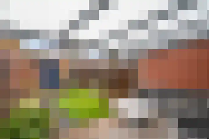 Drapenierlaan 78 Zwolle thumbnail 41