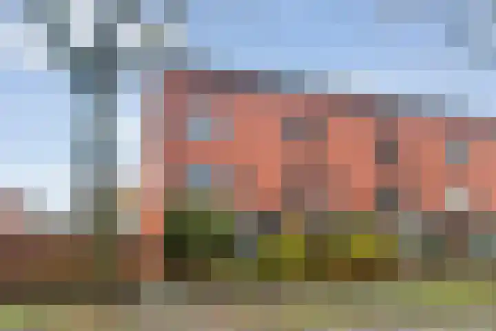 Drapenierlaan 78 Zwolle thumbnail 6