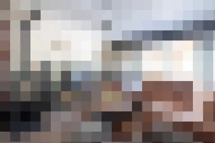 Drapeniersdonk 127 Apeldoorn thumbnail 12