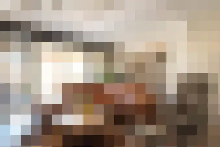 Drapeniersdonk 127 Apeldoorn thumbnail 13