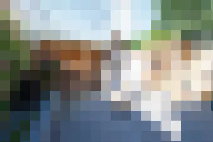 Drapeniersdonk 127 Apeldoorn thumbnail 19