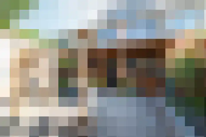 Drapeniersdonk 127 Apeldoorn thumbnail 20