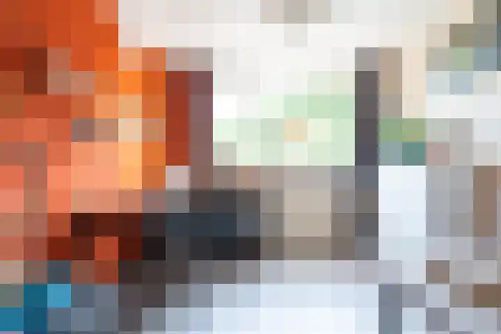 Drapeniersdonk 127 Apeldoorn thumbnail 25