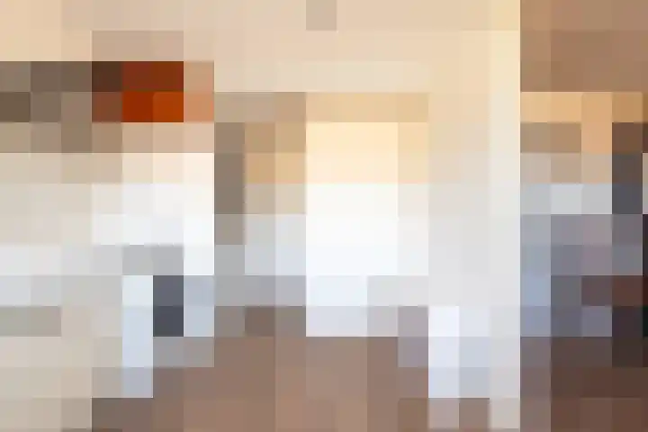 Drapeniersdonk 127 Apeldoorn thumbnail 29