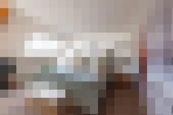 Drapeniersdonk 127 Apeldoorn thumbnail 30