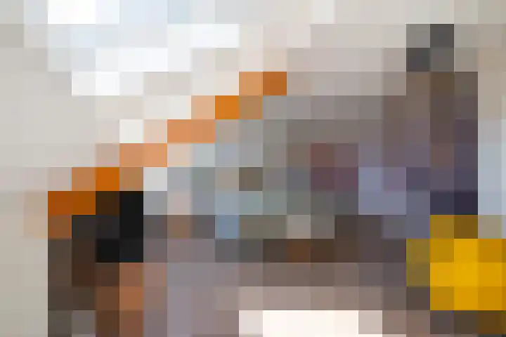 Drapeniersdonk 127 Apeldoorn thumbnail 31