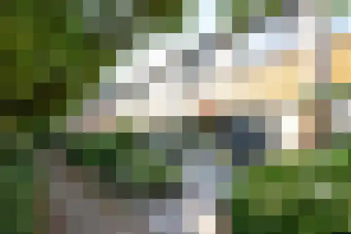 Drapeniersdonk 127 Apeldoorn thumbnail 4