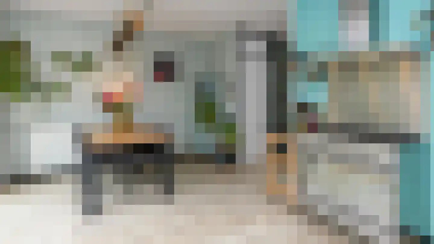Drapeniersdonk 161 Apeldoorn thumbnail 10