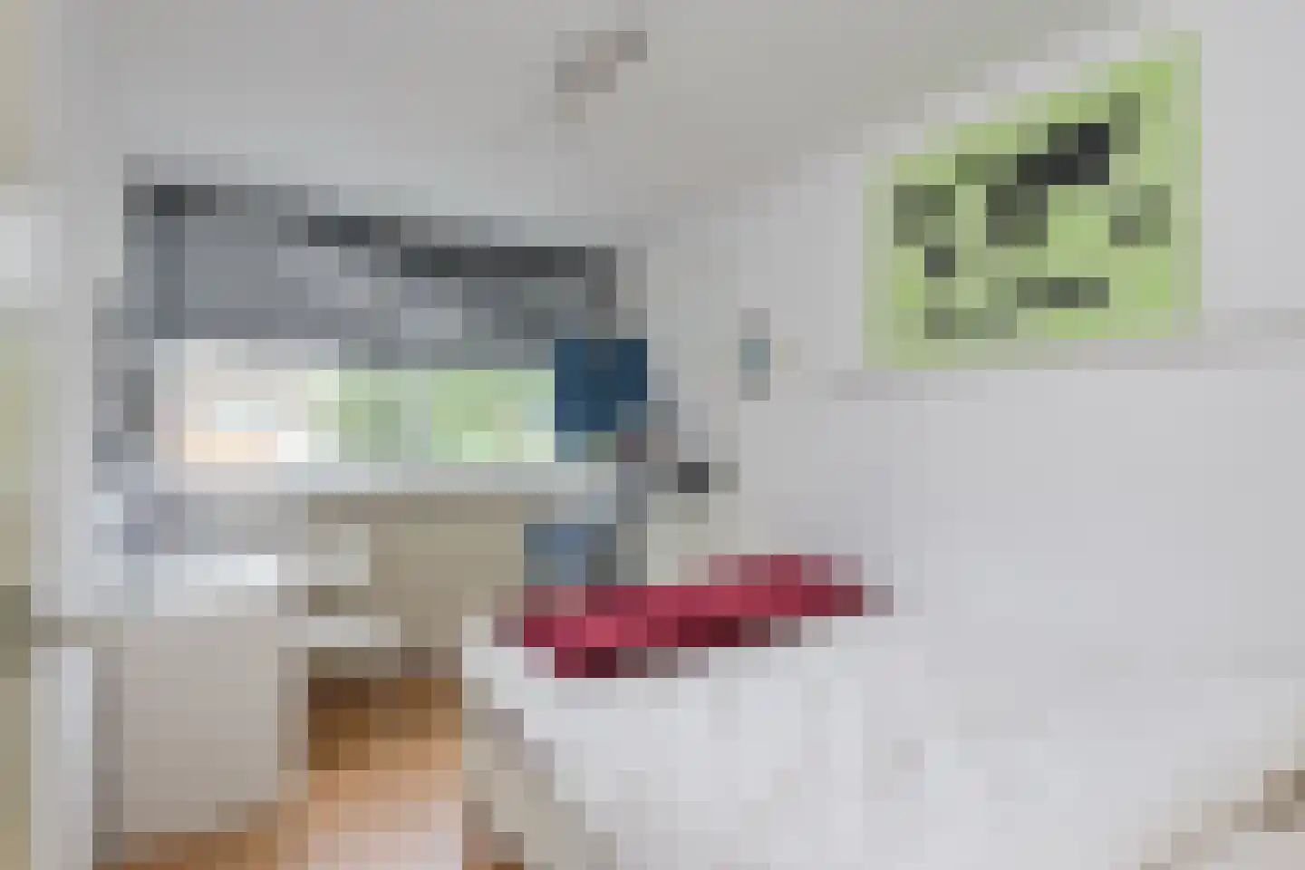 Drapeniersdonk 161 Apeldoorn thumbnail 17
