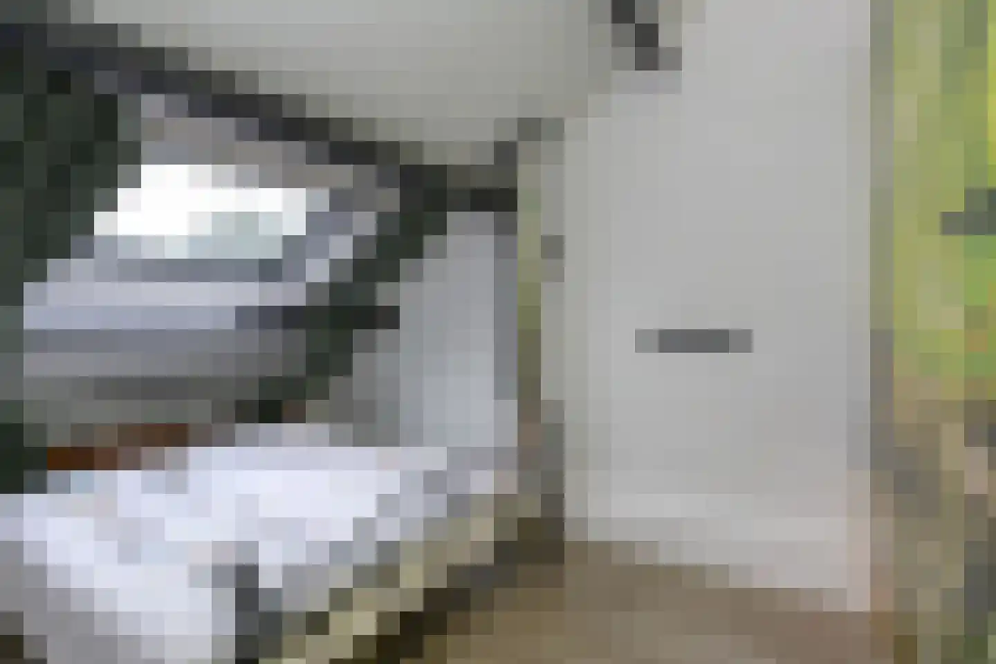 Drapeniersdonk 161 Apeldoorn thumbnail 20