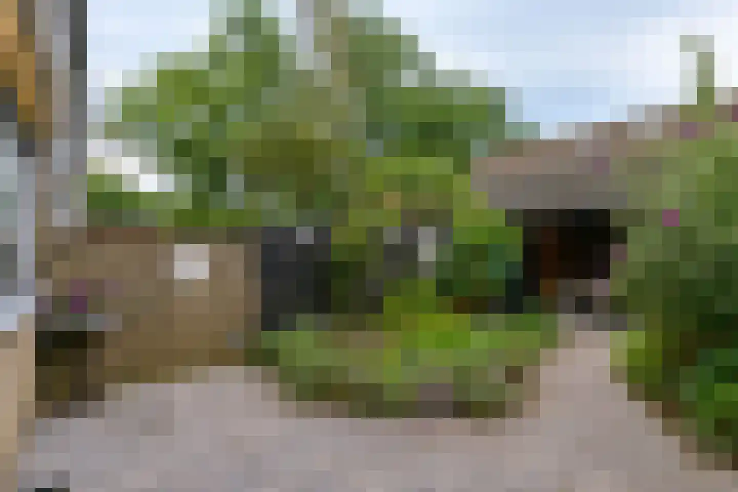 Drapeniersdonk 161 Apeldoorn thumbnail 29