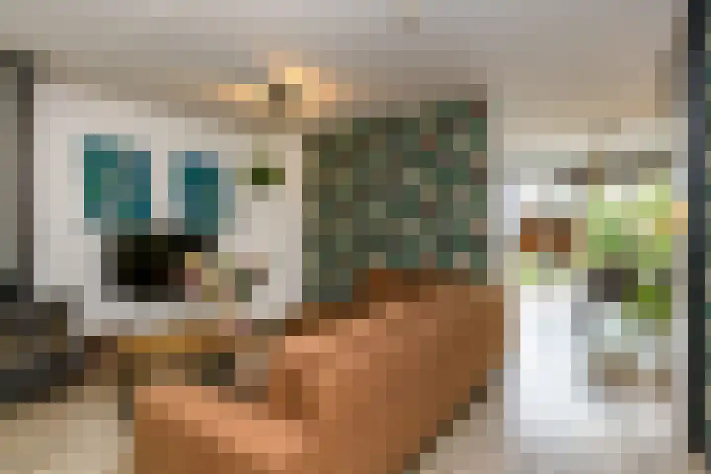 Drapeniersdonk 161 Apeldoorn thumbnail 6