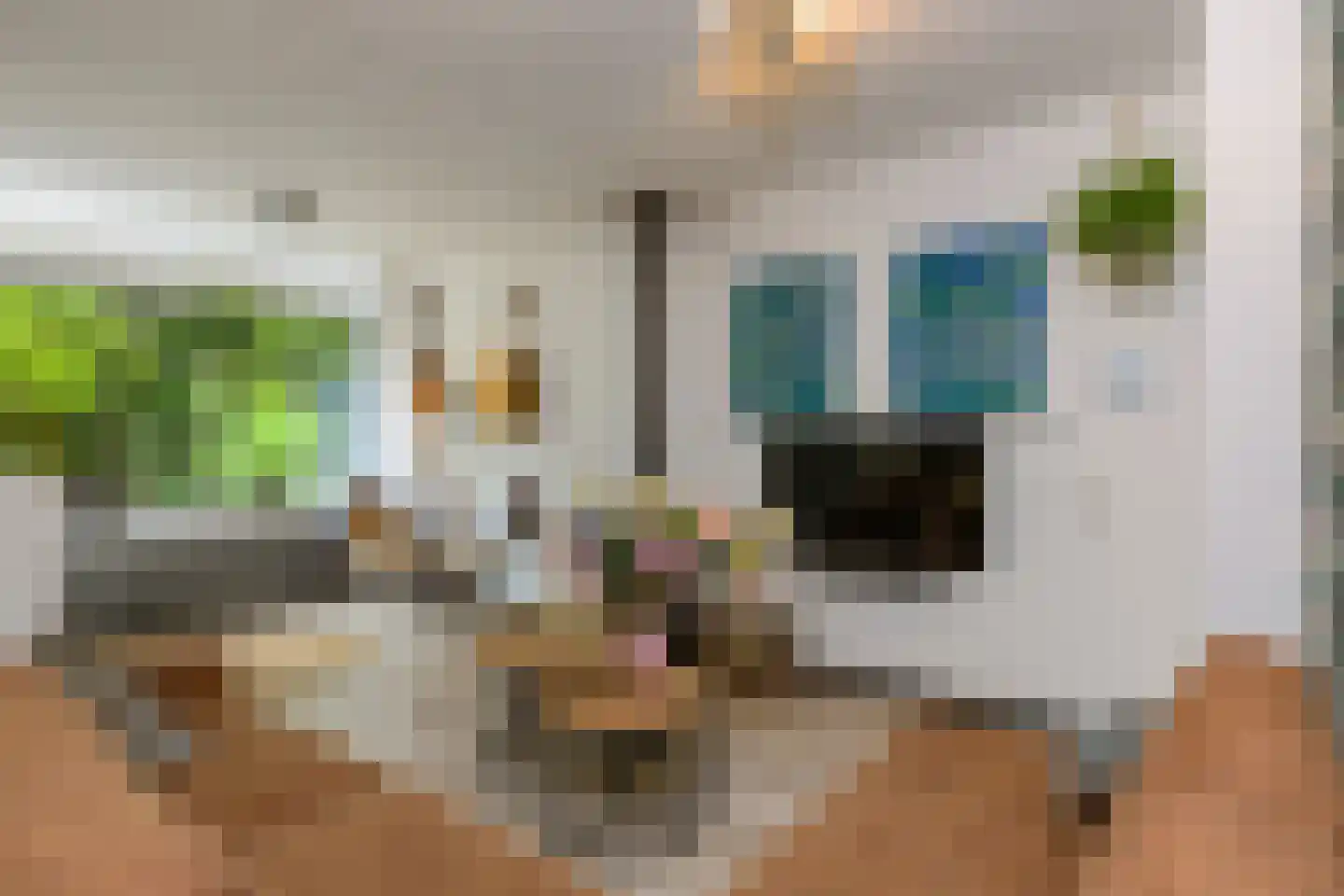 Drapeniersdonk 161 Apeldoorn thumbnail 8