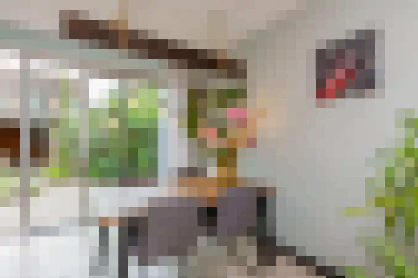 Drapeniersdonk 161 Apeldoorn thumbnail 9