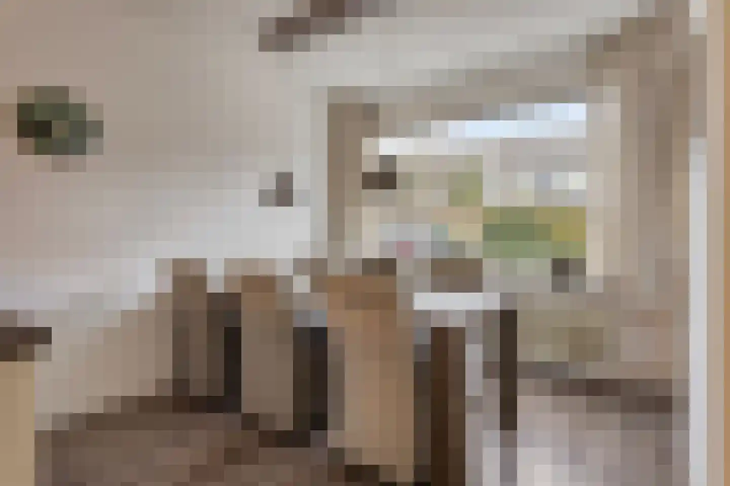 Drapeniersdonk 318 Apeldoorn thumbnail 12