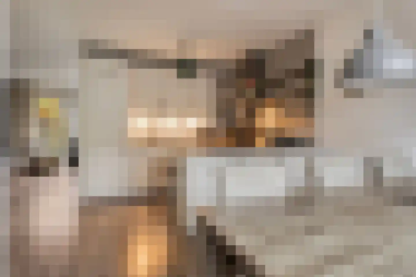 Drapeniersdonk 318 Apeldoorn thumbnail 13