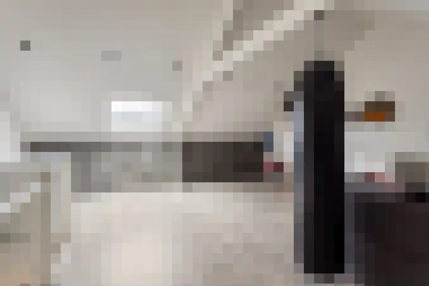Drapeniersdonk 318 Apeldoorn thumbnail 25