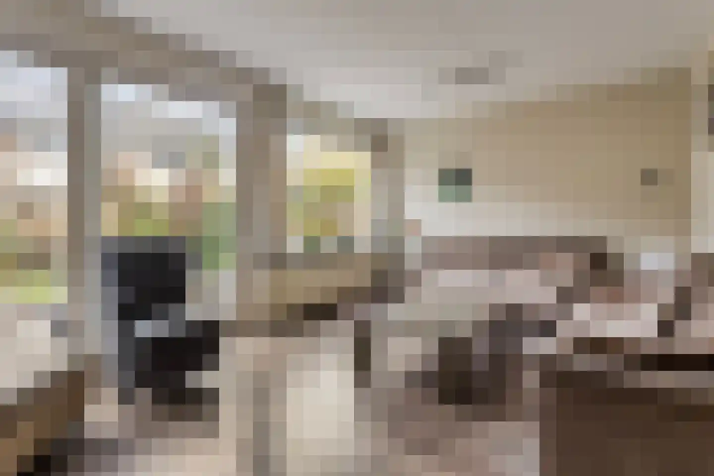 Drapeniersdonk 318 Apeldoorn thumbnail 6