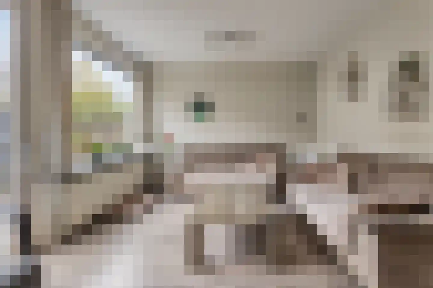Drapeniersdonk 318 Apeldoorn thumbnail 7