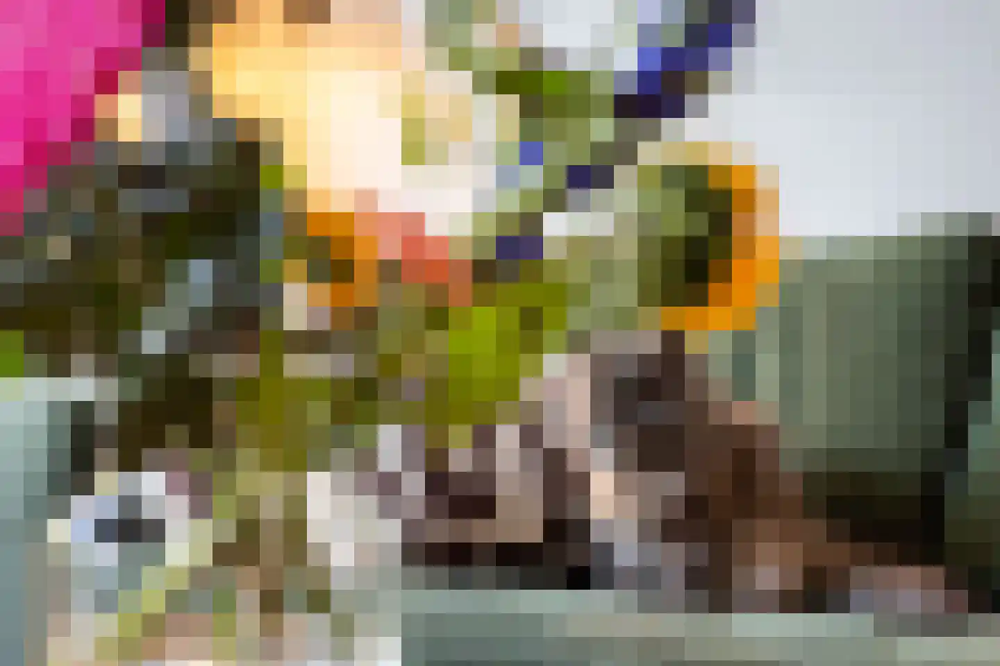 Drapeniersdonk 350 Apeldoorn thumbnail 11