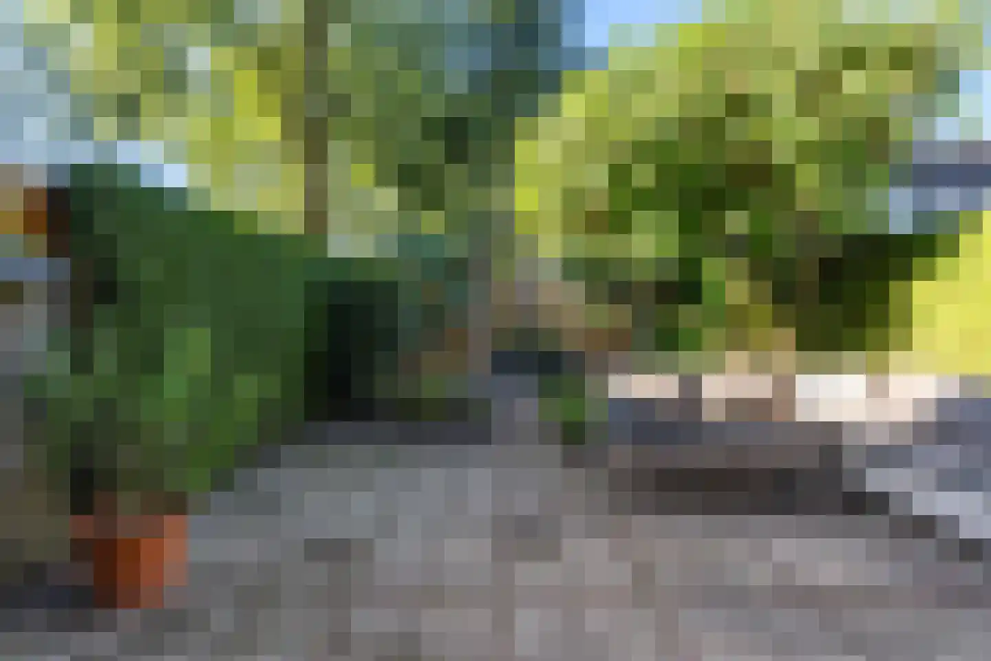 Drapeniersdonk 350 Apeldoorn thumbnail 27